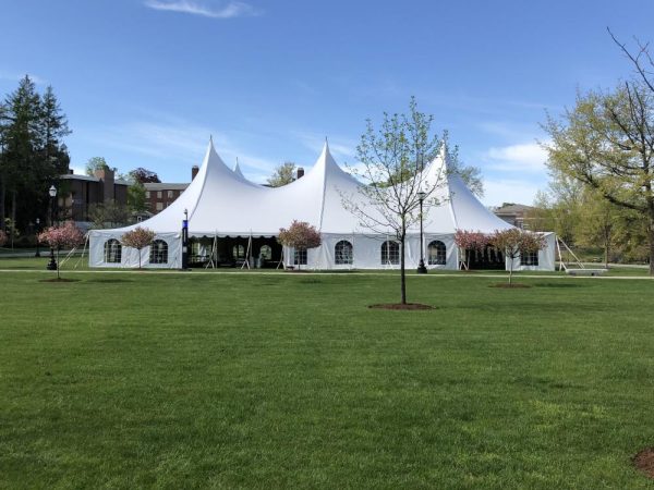 Tent_on_Green.jpg